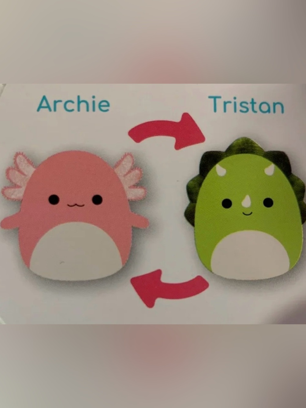Squishmallows Lime Green & Pink Flip Plush Archie/Tristan Style. NEW